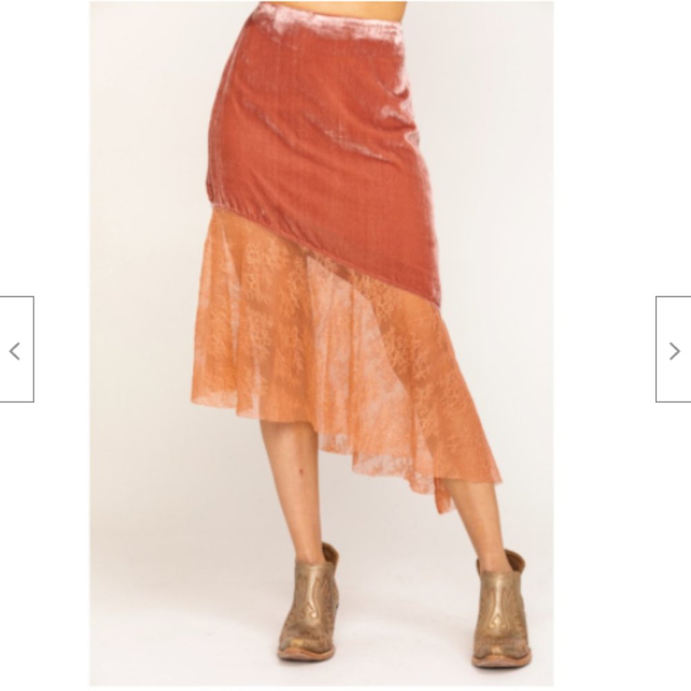 NWT Free People My Lacey Velvet Midi Skirt Sheer - Picture 6 of 6